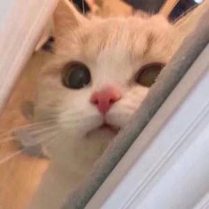 亲子乱大交做爰幼女中字
